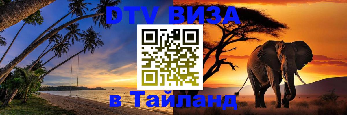 Сколько стоит DTV виза — актуальные цены, оформление даже без документов - 19.11.2025 